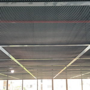 Trần lưới thép sơn